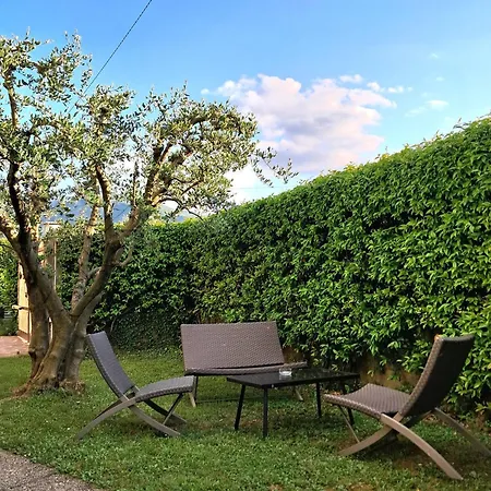 Mandello Panoramico * アッバディーア・ラリアーナ